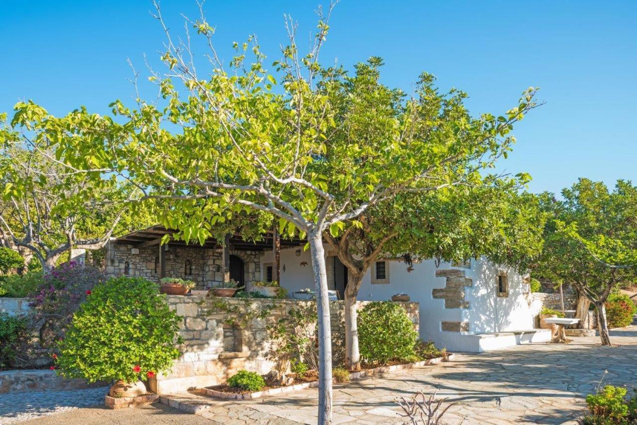 Villa Venus Avlemonas Exteriör bild